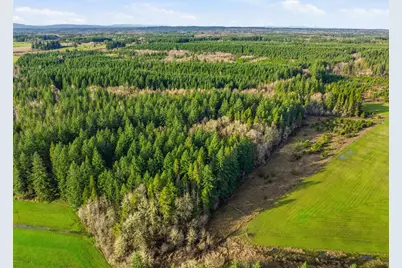 0 Na Classe Road, Toledo, WA 98591 - Photo 8