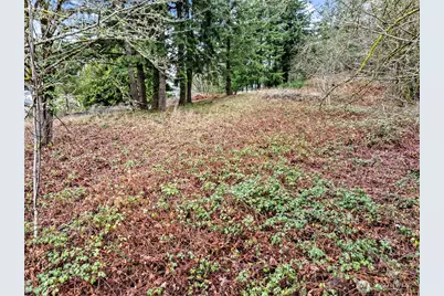 7 7th Avenue SW, Tumwater, WA 98512 - Photo 16