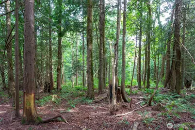 0 Lakewood Road, Stanwood, WA 98292 - Photo 4