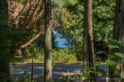 251 Goodrich Road, Camano Island, WA 98282 - Photo 36