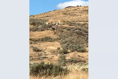 0 Lot 3 Gunsmoke, Brewster, WA 98812 - Photo 4