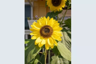 4201 Ambrosia Lane #B9, Bellingham, WA 98226 - Photo 38