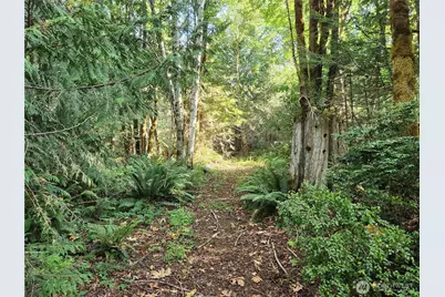 554 Briarwood Lane, Brinnon, WA 98320 - Photo 30