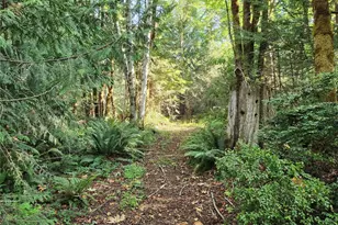 554 Briarwood Ln, Brinnon, WA 98320 - Photo 30