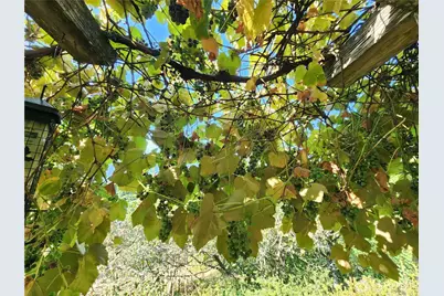 554 Briarwood Lane, Brinnon, WA 98320 - Photo 26