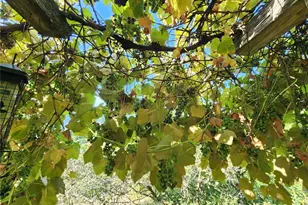 554 Briarwood Ln, Brinnon, WA 98320 - Photo 26