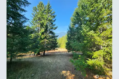 554 Briarwood Lane, Brinnon, WA 98320 - Photo 36