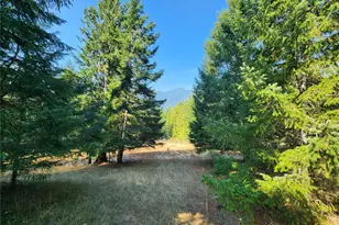 554 Briarwood Ln, Brinnon, WA 98320 - Photo 36