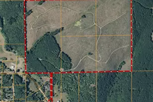 50 X Winston Creek Rd, Mossyrock, WA 98564 - Photo 2