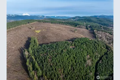 50 X Winston Creek Road, Mossyrock, WA 98564 - Photo 14