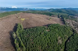 50 X Winston Creek Rd, Mossyrock, WA 98564 - Photo 14