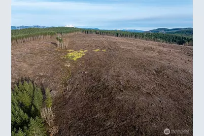 50 X Winston Creek Road, Mossyrock, WA 98564 - Photo 18