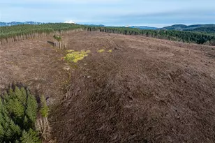 50 X Winston Creek Rd, Mossyrock, WA 98564 - Photo 18