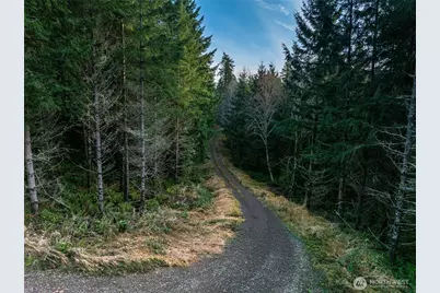 50 X Winston Creek Road, Mossyrock, WA 98564 - Photo 4