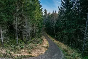 50 X Winston Creek Rd, Mossyrock, WA 98564 - Photo 4