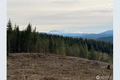 50 X Winston Creek Road, Mossyrock, WA 98564 - Photo 12