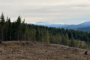 50 X Winston Creek Rd, Mossyrock, WA 98564 - Photo 12