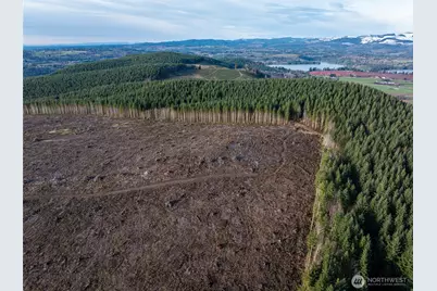 50 X Winston Creek Road, Mossyrock, WA 98564 - Photo 10