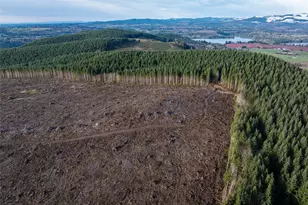 50 X Winston Creek Rd, Mossyrock, WA 98564 - Photo 10