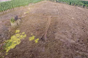 50 X Winston Creek Rd, Mossyrock, WA 98564 - Photo 20