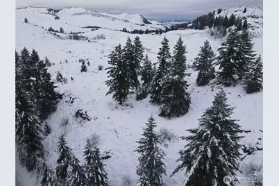 0 Lot 38 Mountain View Road, Oroville, WA 98844 - Photo 4