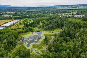 4256 Curtis Rd, Bellingham, WA 98226 - Photo 4