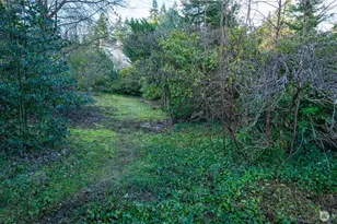 19028 15th Ave NE, Shoreline, WA 98155 - Photo 6