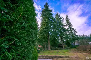 19015 16th Ave NE, Shoreline, WA 98155 - Photo 36