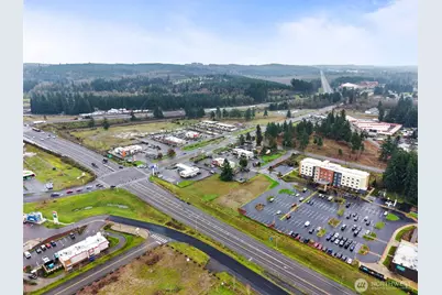 18821 Guava Street SW, Rochester, WA 98579 - Photo 26