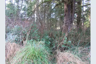 107 Dolphin Lane, Copalis Beach, WA 98535 - Photo 6