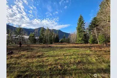 3162 Duckabush Road, Brinnon, WA 98320 - Photo 6