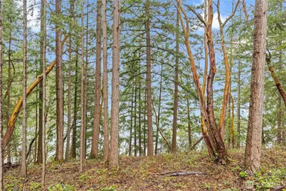 22127 N Clear Lake Boulevard SE, Yelm, WA 98597 - Photo 32