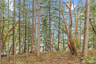 22127 N Clear Lake Blvd SE, Yelm, WA 98597 - Photo 32