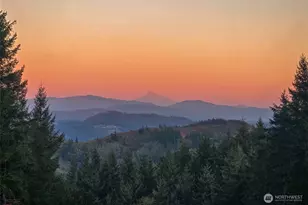 421 Woodland Heights Rd, Woodland, WA 98674 - Photo 34