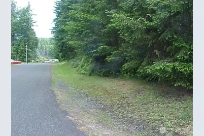 10211 Tahoma Drive, Anderson Island, WA 98303 - Photo 2