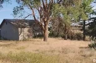 39681 Bluestem Rd E, Davenport, WA 99122 - Photo 6