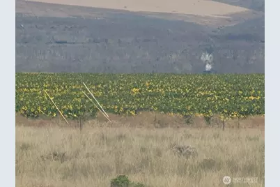 37761 L-Ne Rd, Coulee City, WA 99135 - Photo 40