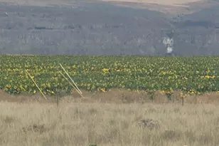 37761 L-NE Rd, Coulee City, WA 99135 - Photo 40