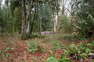 63645 NE 190th St, Baring, WA 98224 - Photo 1