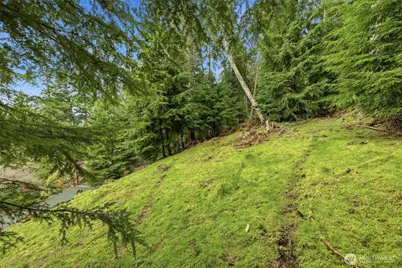 5184 Ridgeline Place, Oak Harbor, WA 98277 - Photo 14