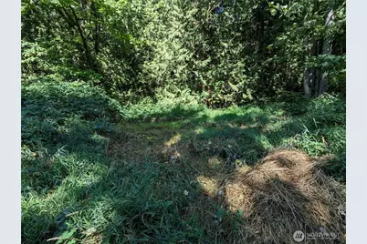 5326 Reese Hill Road, Sumas, WA 98295 - Photo 22