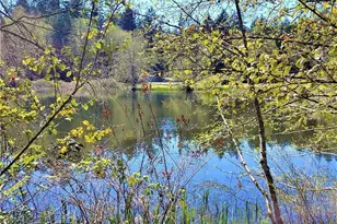 11020 Matthews Way, Anderson Island, WA 98303 - Photo 4