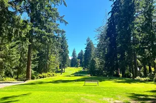 11020 Matthews Way, Anderson Island, WA 98303 - Photo 12