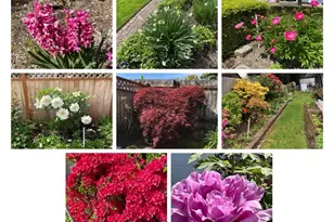 4214 NE 2nd St, Renton, WA 98059 - Photo 26