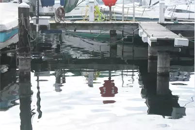 9050 Seward Park Avenue S #29, Seattle, WA 98118 - Photo 12