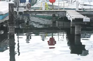 9050 Seward Park Ave S, Seattle, WA 98118 - Photo 12