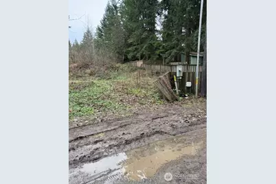 32919 82nd Avenue S, Roy, WA 98580 - Photo 4