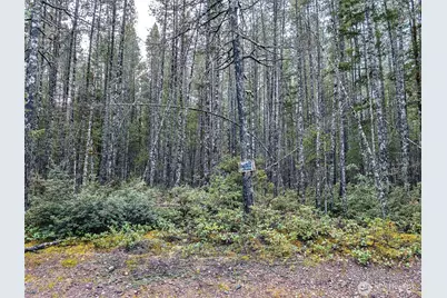 0 Tr42 NE Sides Way, Belfair, WA 98528 - Photo 4