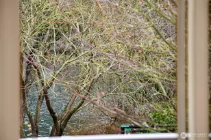 1144 N 198th St, Seattle, WA 98133 - Photo 22