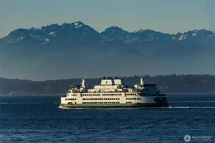 1005 Harbor Ave SW, Seattle, WA 98116 - Photo 30